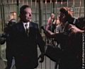 Wiener Blut Video